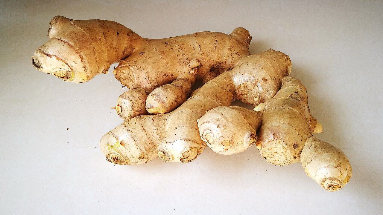 Ginger: root